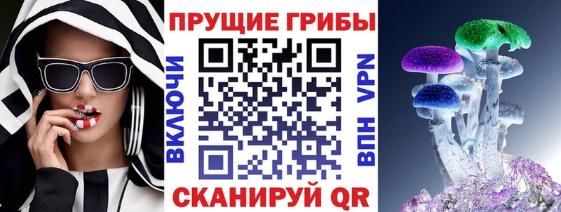 закладка Болотное Галлюциногенные грибы Magic Shrooms